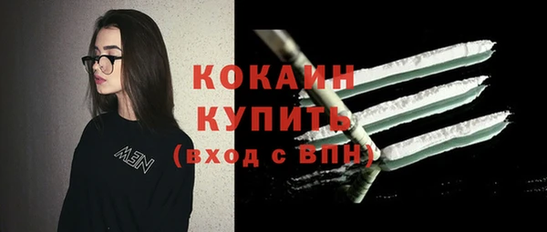 твердый Надым