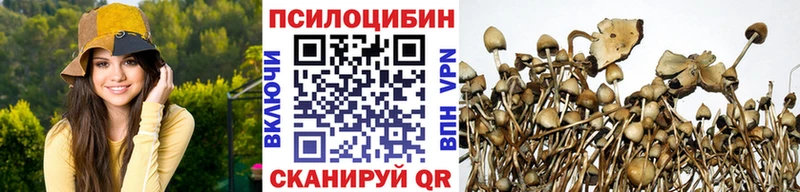 OMG рабочий сайт  darknet официальный сайт  Азов  Псилоцибиновые грибы мухоморы  как найти закладки 